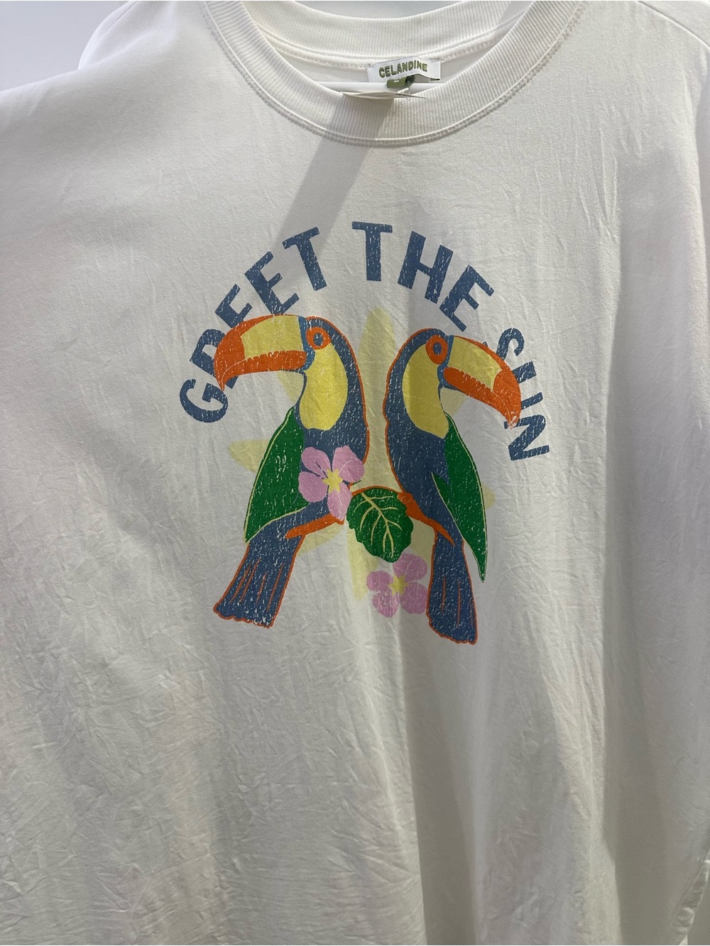 Anthropologie Celandine Toucan Graphic Shirt Dress Cover Up Size Large NWT - Picture 3 of 11